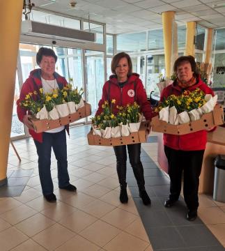 Prostovoljke RK Ravne in Kotlje ob Dnevu žena obiskale domove starejših (4)